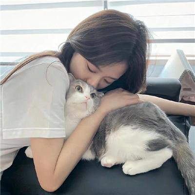 浴血玫瑰